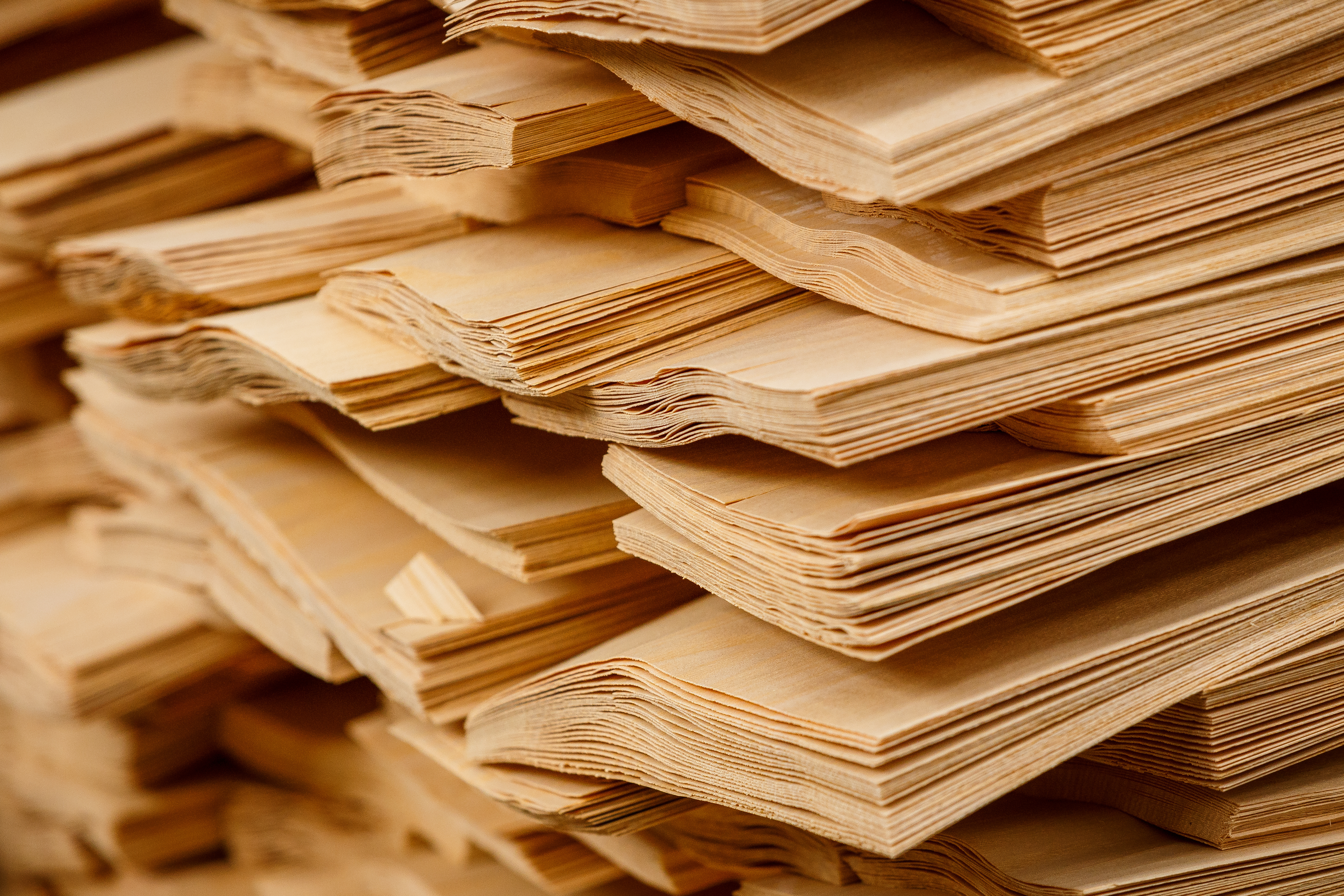 Stacks of thin raw wood veneer sheets